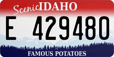 ID license plate E429480
