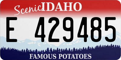 ID license plate E429485