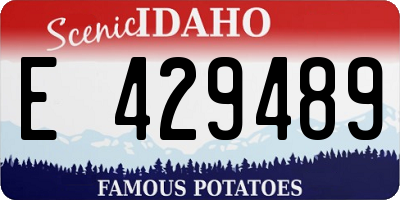 ID license plate E429489