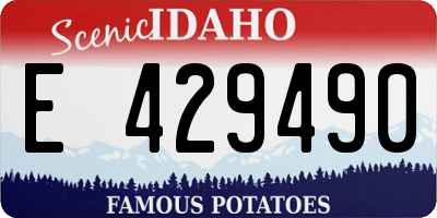 ID license plate E429490