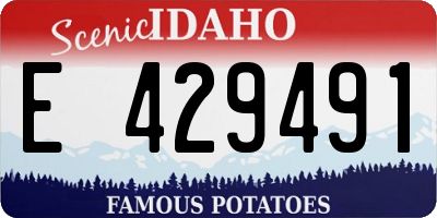 ID license plate E429491