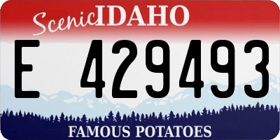 ID license plate E429493