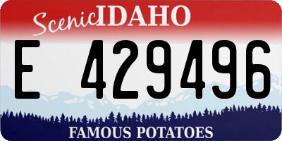 ID license plate E429496