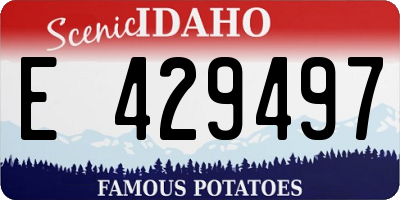 ID license plate E429497