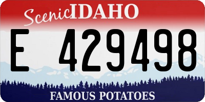 ID license plate E429498