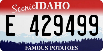 ID license plate E429499