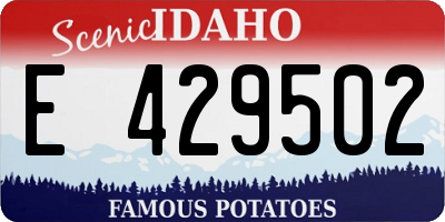 ID license plate E429502