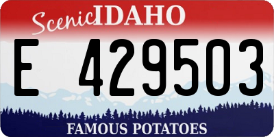 ID license plate E429503