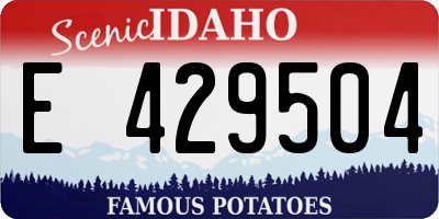 ID license plate E429504