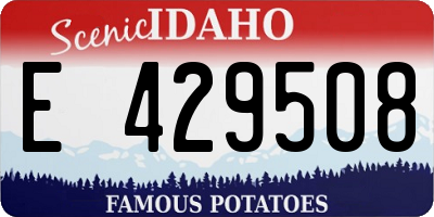 ID license plate E429508