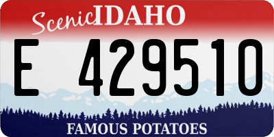 ID license plate E429510