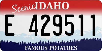 ID license plate E429511