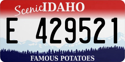 ID license plate E429521