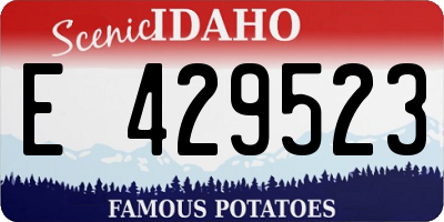ID license plate E429523