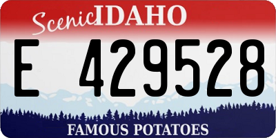 ID license plate E429528