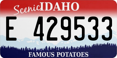 ID license plate E429533
