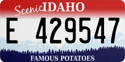 ID license plate E429547