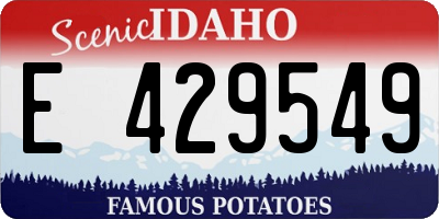ID license plate E429549