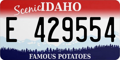 ID license plate E429554