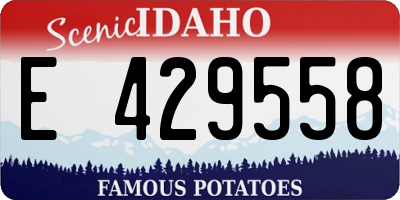 ID license plate E429558