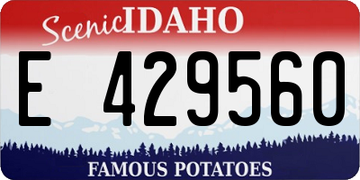 ID license plate E429560