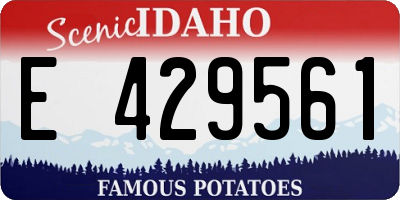 ID license plate E429561