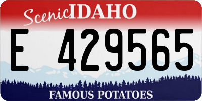 ID license plate E429565