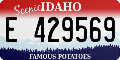 ID license plate E429569