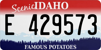 ID license plate E429573