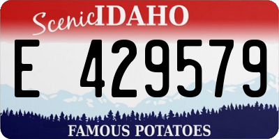 ID license plate E429579