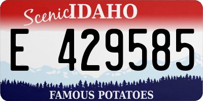 ID license plate E429585