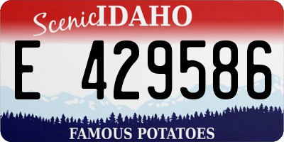 ID license plate E429586
