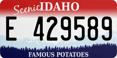 ID license plate E429589