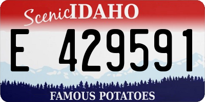 ID license plate E429591