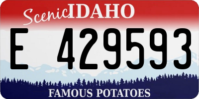 ID license plate E429593