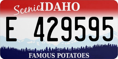 ID license plate E429595