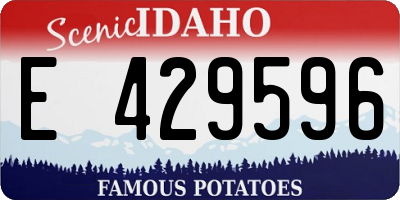 ID license plate E429596