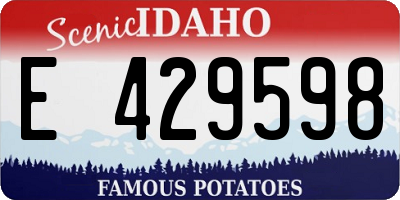 ID license plate E429598