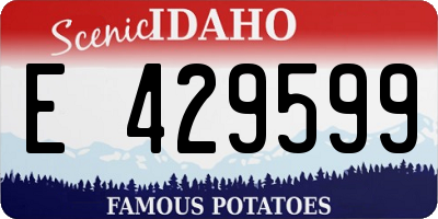 ID license plate E429599