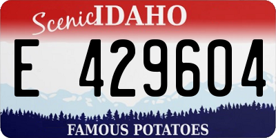 ID license plate E429604