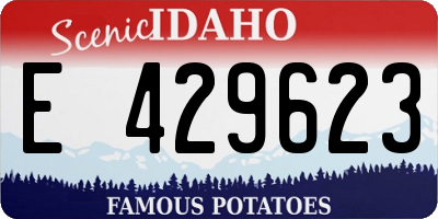 ID license plate E429623