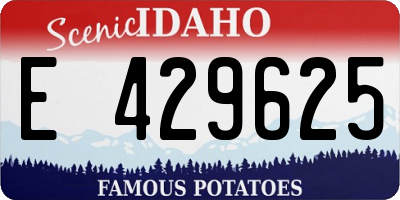 ID license plate E429625