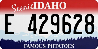 ID license plate E429628