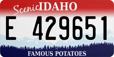 ID license plate E429651