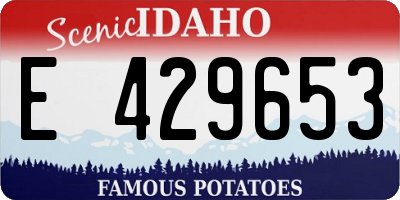 ID license plate E429653