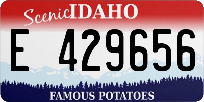 ID license plate E429656