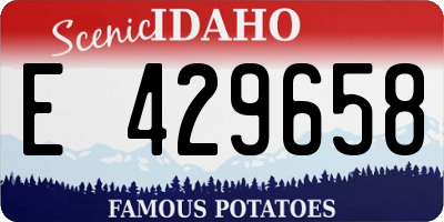 ID license plate E429658