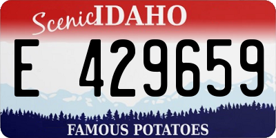 ID license plate E429659