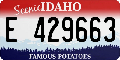 ID license plate E429663