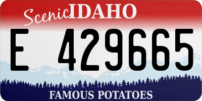 ID license plate E429665
